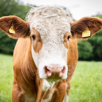 762BCD68-F3DF-4164-8862-42742B599493 762BCD68-F3DF-4164-8862-42742B599493