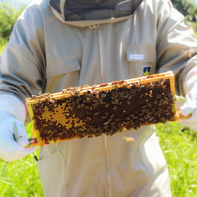 Hilltop Honey Color Graded-6 (1) (1)