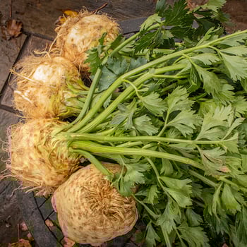 Jack_Buck_Farms_041020_LOW_RES-131