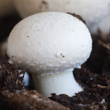 shutterstock_98772002-1 shutterstock_98772002-1